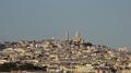 View from Arc de Triumph 18